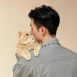 雷雷-绿野蓝衫